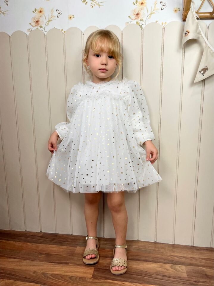 Rosalin Yıldız Detaylı Elbise