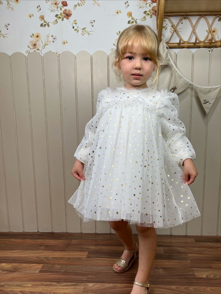 Rosalin Yıldız Detaylı Elbise