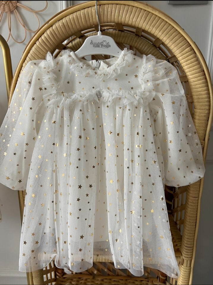 Rosalin Yıldız Detaylı Elbise