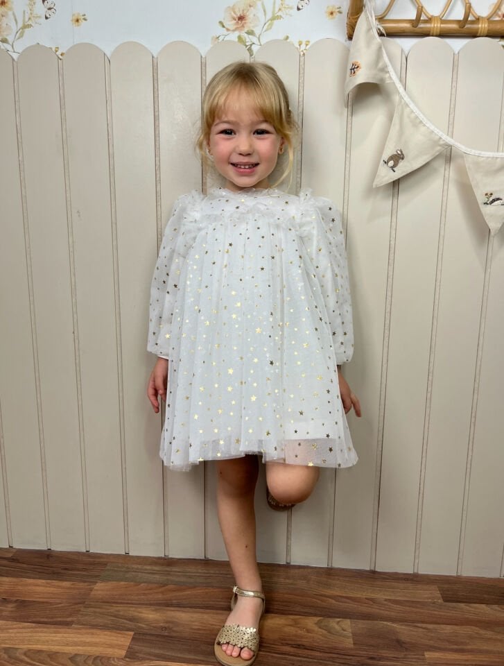 Rosalin Yıldız Detaylı Elbise