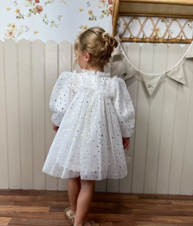 Rosalin Yıldız Detaylı Elbise