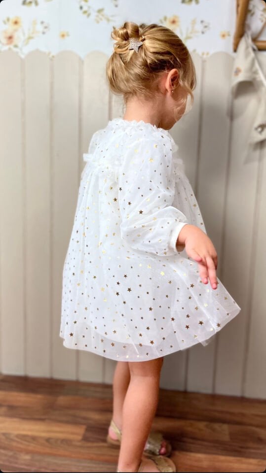 Rosalin Yıldız Detaylı Elbise