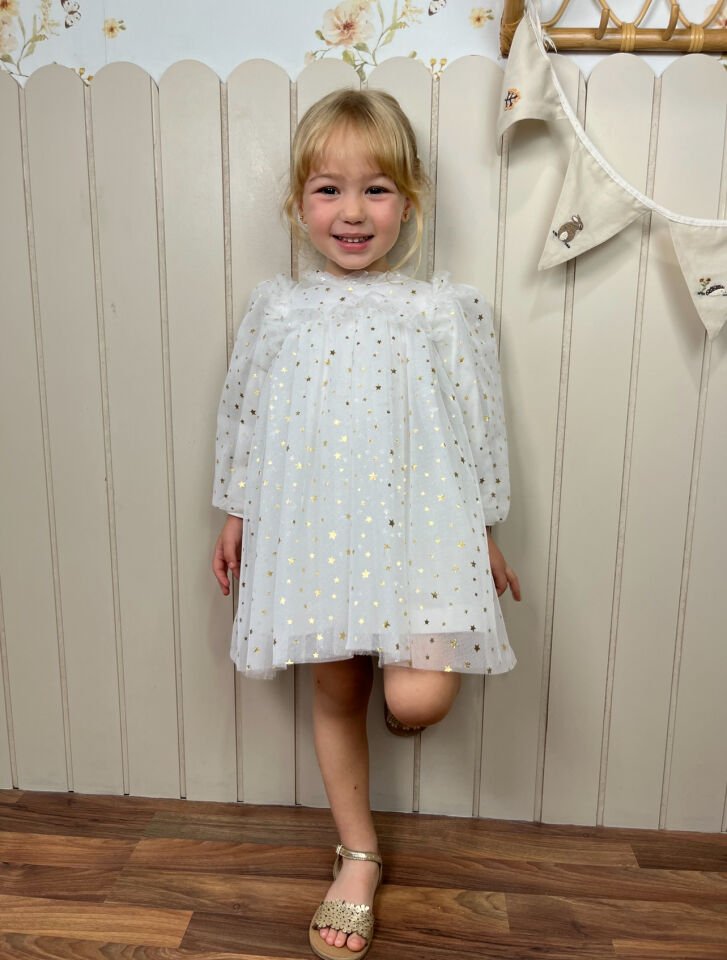 Rosalin Yıldız Detaylı Elbise