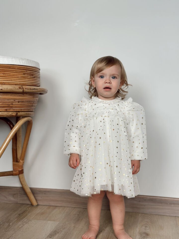 Rosalin Yıldız Detaylı Elbise