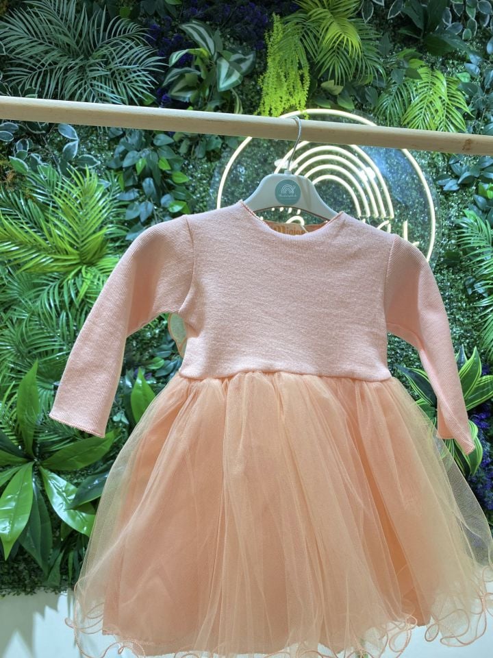 Kanatlı Elbise (Somon)